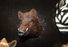Wild Boar Head Magnet