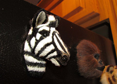 Zebra Head Magnet
