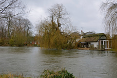 River Avon at Ringwood, Hampshire