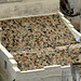 Matera- Roof Tiles
