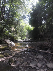 Ruisseau rocheux / Rocky stream.
