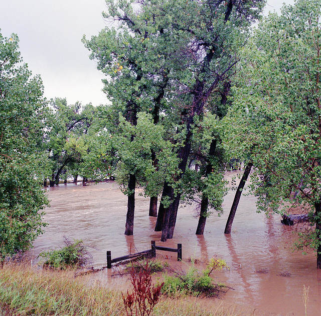Flood, Sept. 12, Boulder Creek at Hwy 287