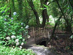 The wooden bridge - one of many!