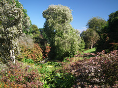 Looking down the stream from the walled garden