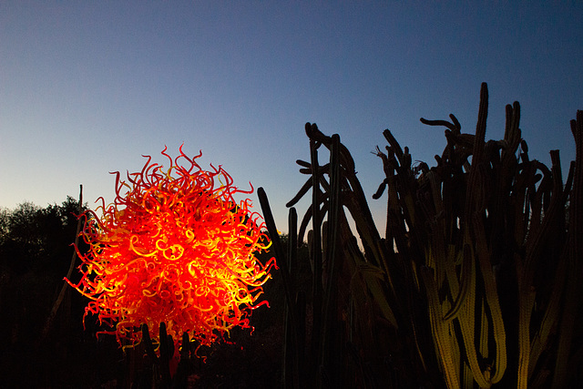 Chihuly in the dark