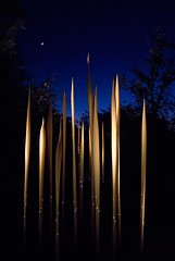 Chihuly in the dark