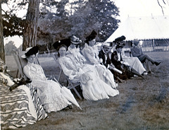 Brokenhurst Park, Hampshire June 1902