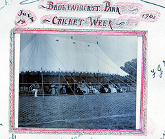 Brokenhurst Park, Hampshire 1902