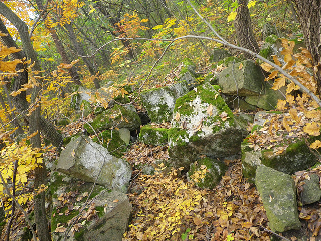 Fragments architecturaux perdus dans la forêt.