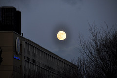 Moon over the Pieter de la Court building