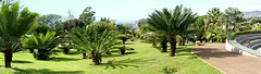 Madeira. Monte. Botanischer Garten. ©UdoSm