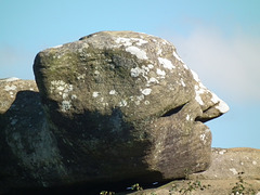 This huge rock looks like a head