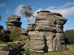 Rocks at Brimham rocks