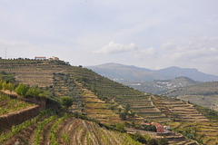 Vallée  du Douro