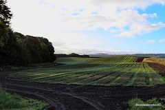 Fields near Tynet in Autumn