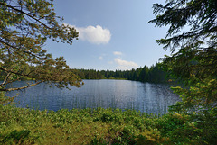 L'étang de la Gruère