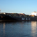 Containerschiff  MSC  NURIA