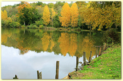 Reflets d'automne dans l'étang