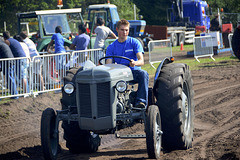 Oldtimerfestival Ravels 2013 – Massey-Harris-Ferguson tractor