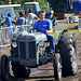 Oldtimerfestival Ravels 2013 – Massey-Harris-Ferguson tractor