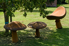 Toadstools - Garden Sculpture at Coughton Court