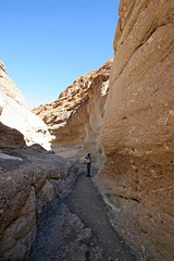 Mosaic Canyon (3512)