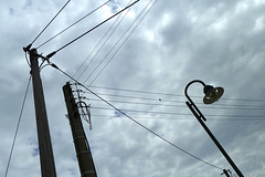 Moritzburg 2013 – Wires