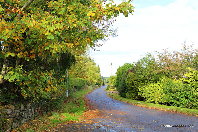 The Old Road in Autumn Colours