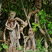 Kippford- Strange Creatures in the Trees