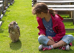The Owl and the Girl Discuss Life, The Universe And All That