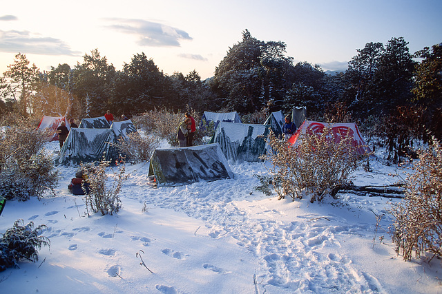 Winter Wonderland Camping