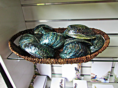 Paua Shells and Cards