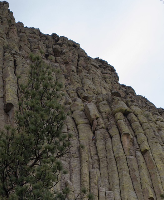 Devils Tower National Monument, WY climbers (0543)