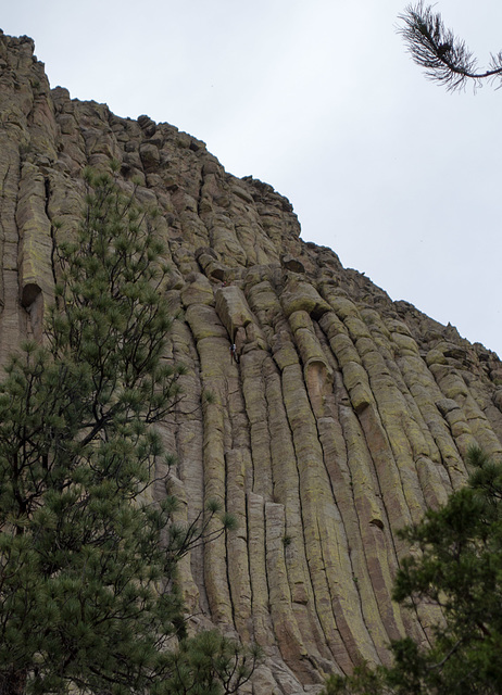 Devils Tower National Monument, WY climbers (0542)
