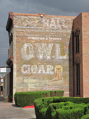 Owl Cigar