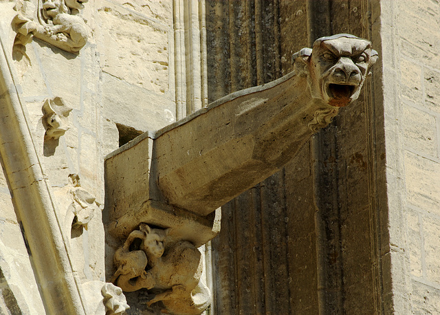 Gargoyle at Bayeux Cathedral - Sept 2010