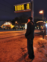 Waiting for the tram