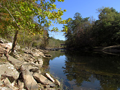 Reflection on the Locust Fork