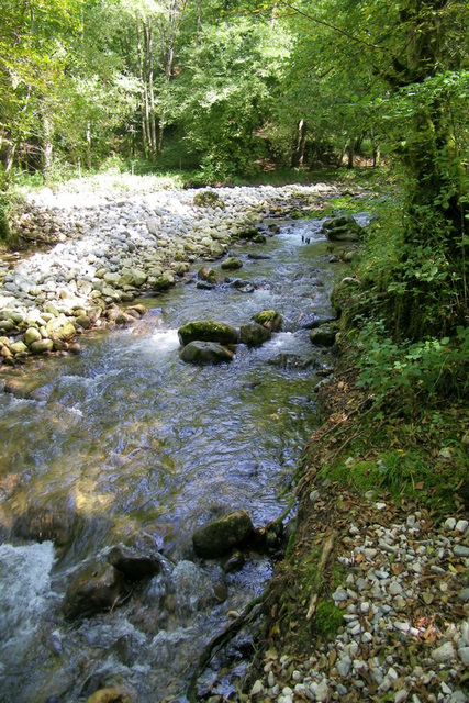 La rivière Vernaison
