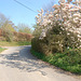 Common Lane, Bromeswell,  Suffolk - looking towards School Lane
