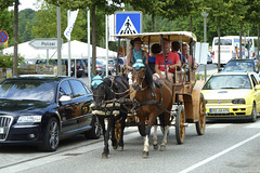 Moritzburg 2013 – Horses