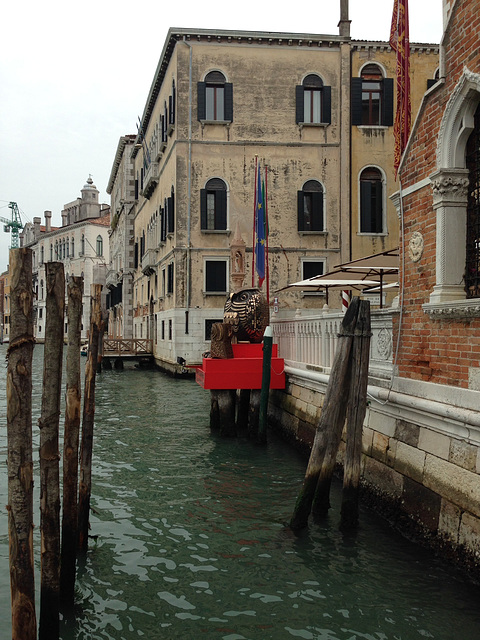 Eulen in Venedig