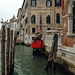 Eulen in Venedig