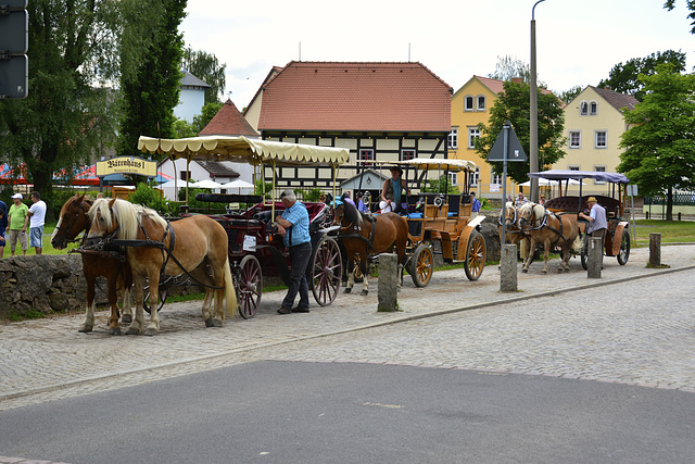 Moritzburg 2013 – Horses