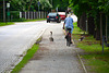 Moritzburg 2013 – Geese on the bicycle path