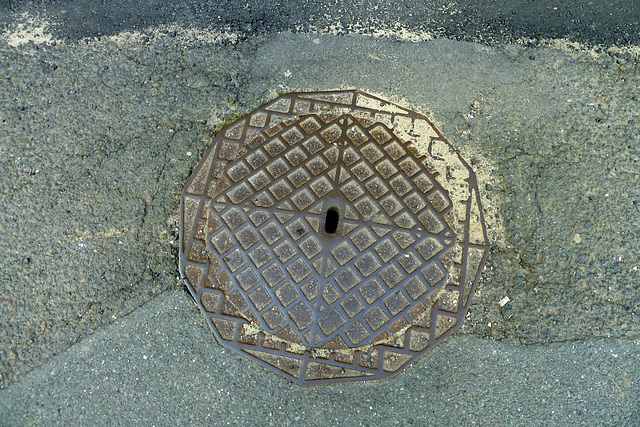 Leipzig 2013 – Manhole cover