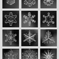 Collage Schneekristalle