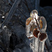 Bio-man de glace, rade de Genève