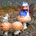 Woodland Fairy and Friend
