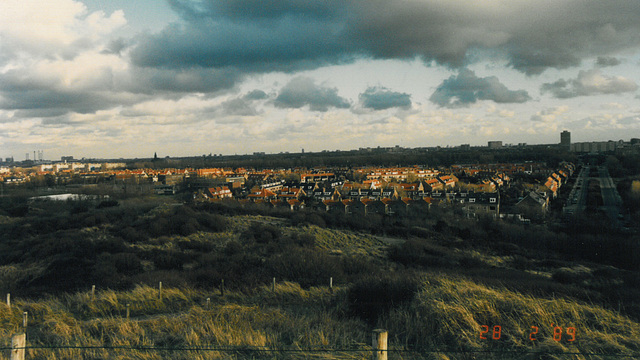 View of the Vogelwijk (Bird neighbourhood) in The Hague